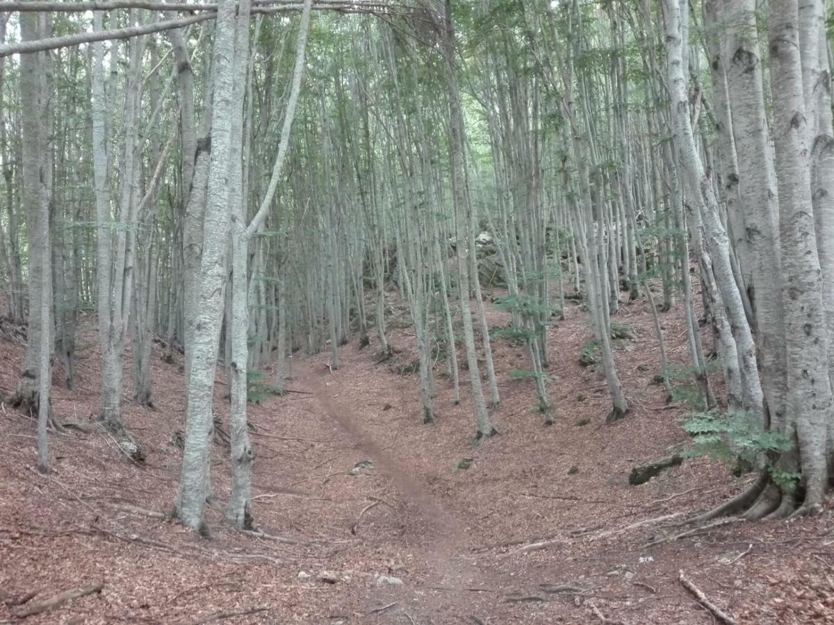 Affittacamere Da Morena Gorfigliano Exterior foto